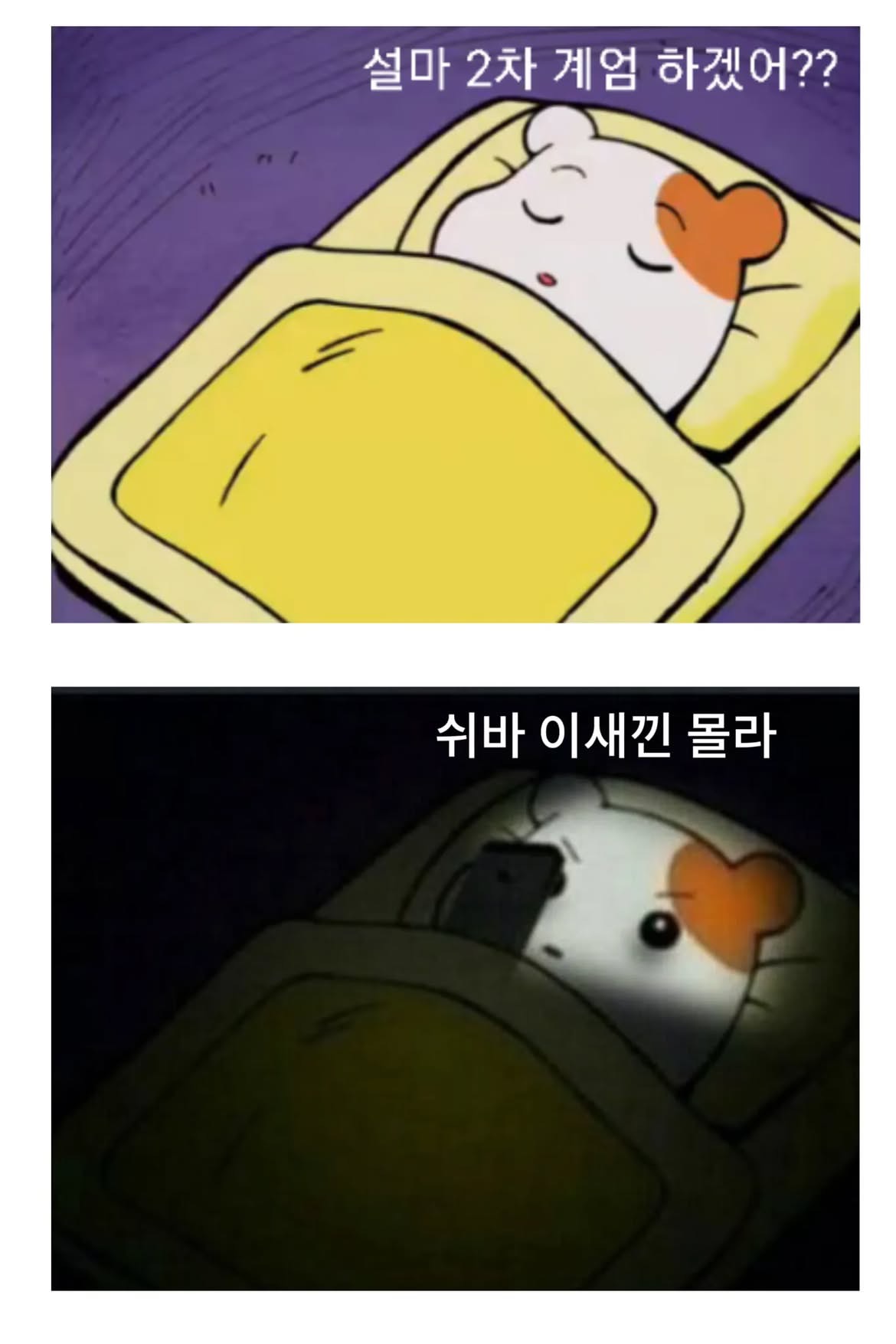 [잡담] 우리나라 탄핵 짤 뜰때마다 저항없이 터짐 | 인스티즈