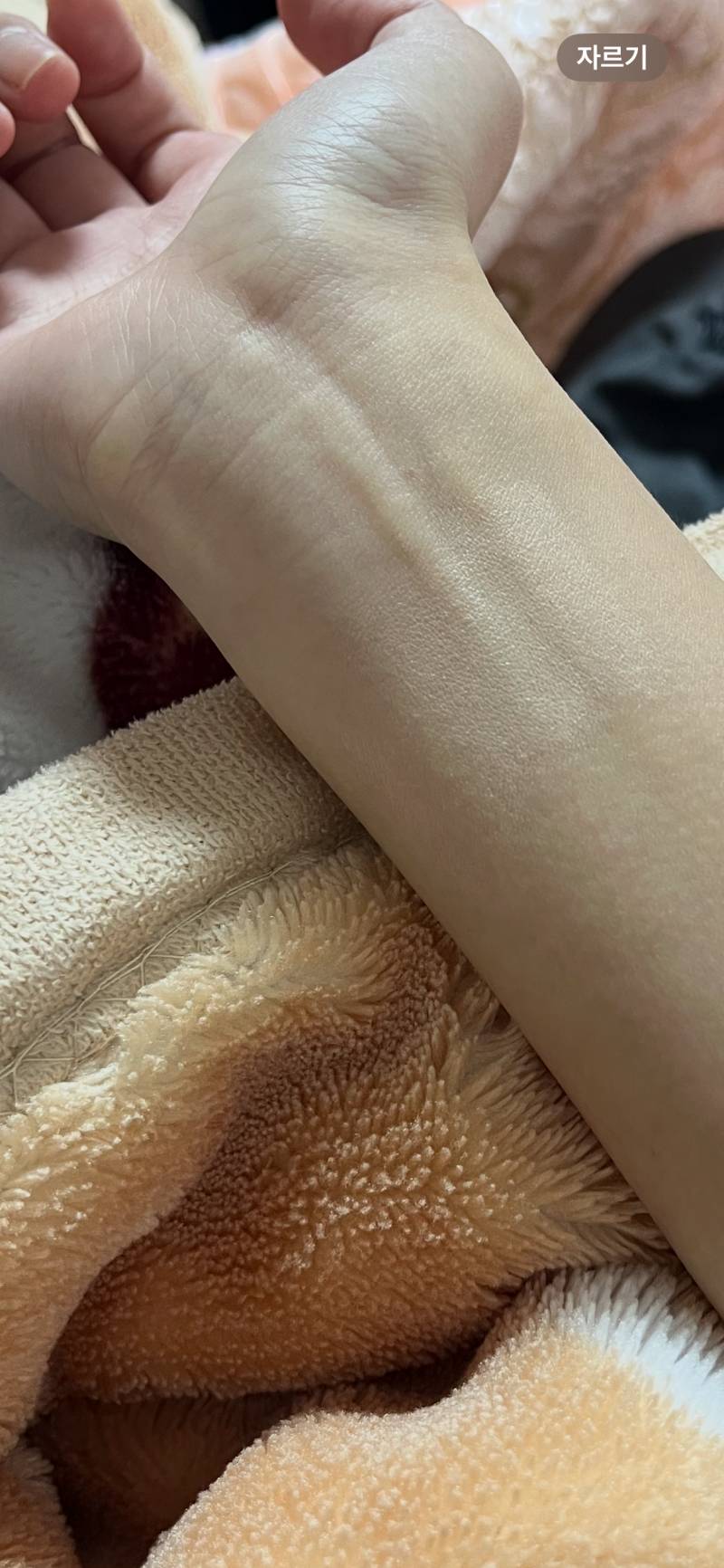 [잡담] 이거 파데 색 내 피부색에 착붙같아? | 인스티즈