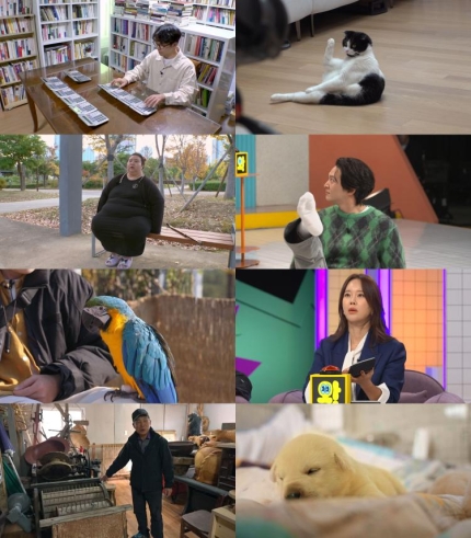 [정보/소식] '세상에 이런일이' 주원, 90도 일어나 앉는 '고양이 자세' 완벽 흉내 | 인스티즈