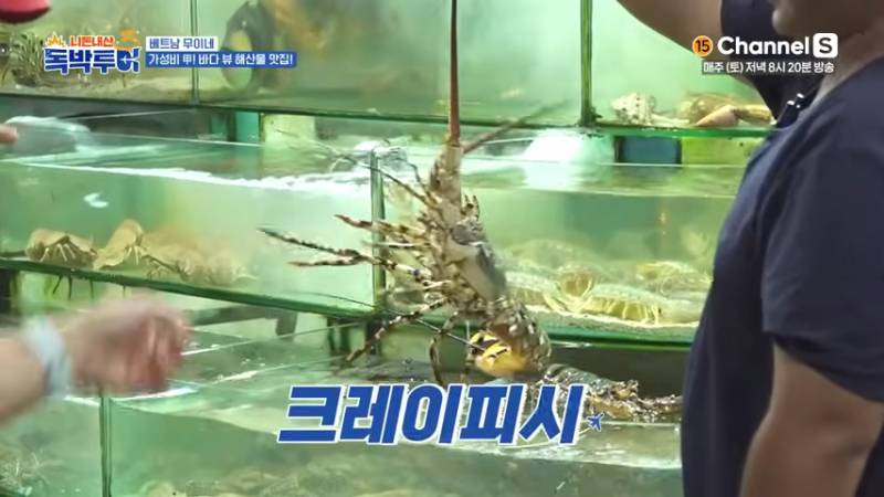잘못 먹으면 저승 직행이라는 베트남 고추냉이 소스 | 인스티즈