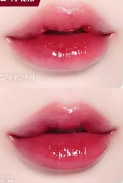 [잡담] 웜톤익들은 이 립색깔 절대 안받아? | 인스티즈