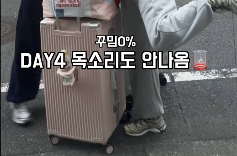 [잡담] 혹시 이 캐리어 뭔지 아는 사람 ????? | 인스티즈