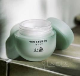 수분크림 유목민을 위한 수부지 피부 오만팔천개 빅데이터(+수분크림 정보 포함) | 인스티즈