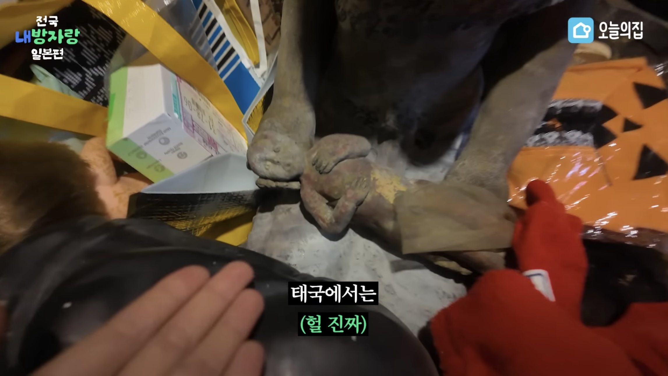 그알PD급 극한직업이라는 오늘의집 PD | 인스티즈