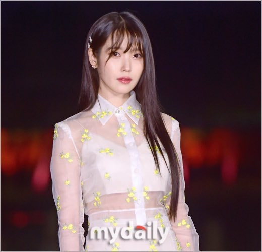[정보/소식] 아이유→뉴진스, 본업과 갈등 속에서…'선결제'로 전한 진심 [MD이슈] (종합) | 인스티즈