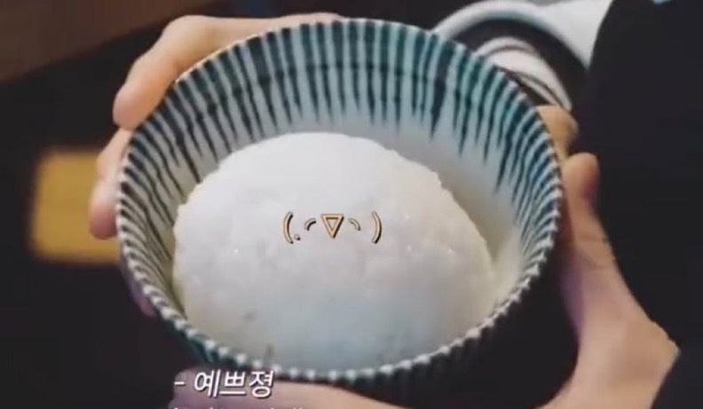 [잡담] 제똥구리 제노가 굴린 밥... 올리고 자러갑니다 | 인스티즈