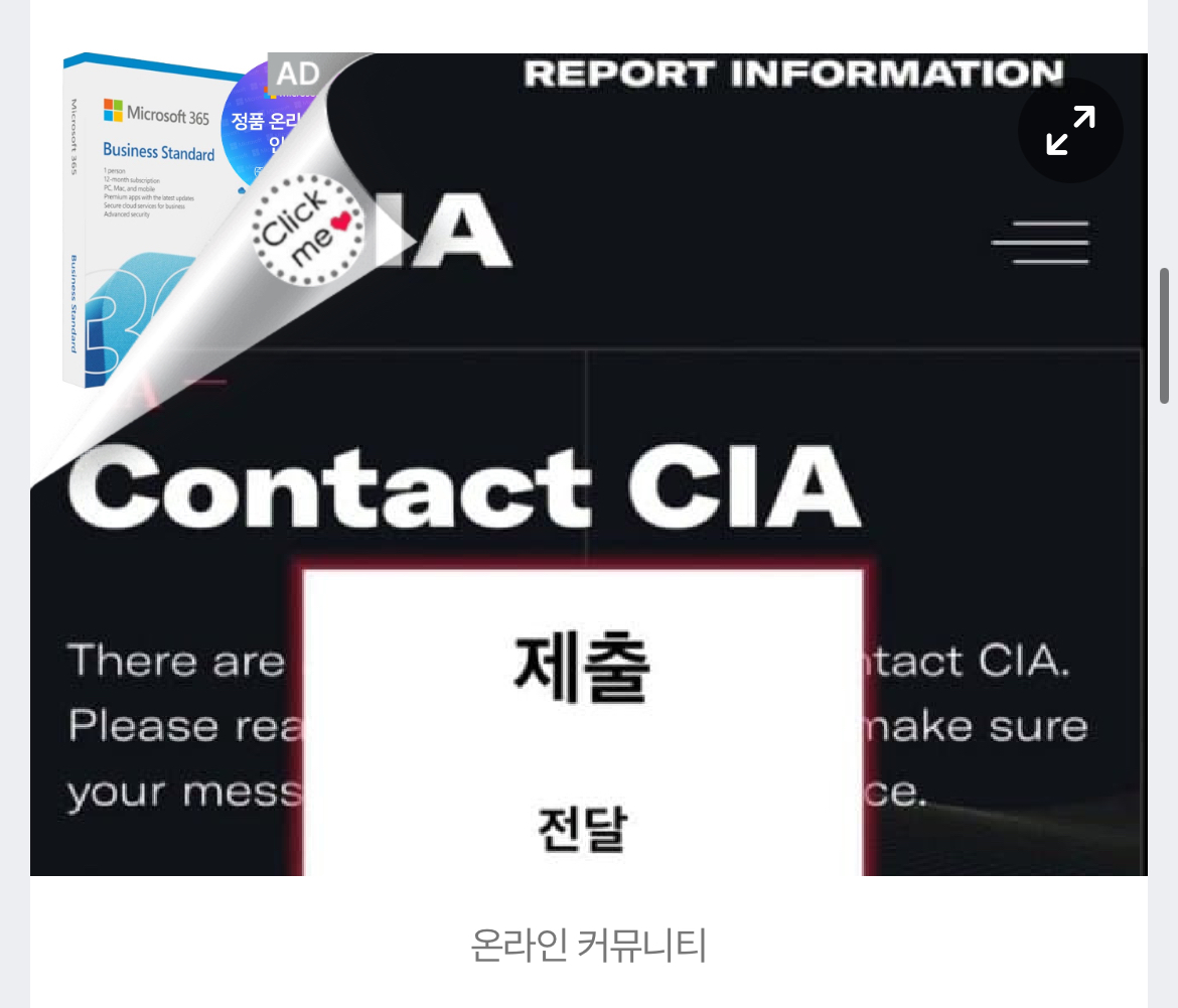 [정보/소식] "CIA에 아이유 신고했다" 황당 글…'尹탄핵찬성 리스트' 공유까지 | 인스티즈