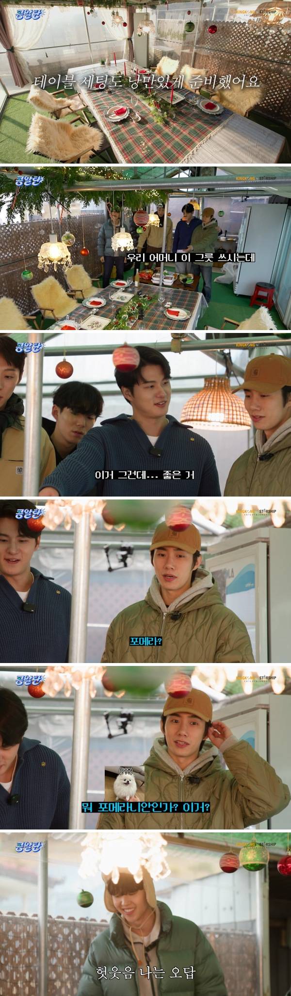 이거 포메라니안 아니야?.jpg | 인스티즈