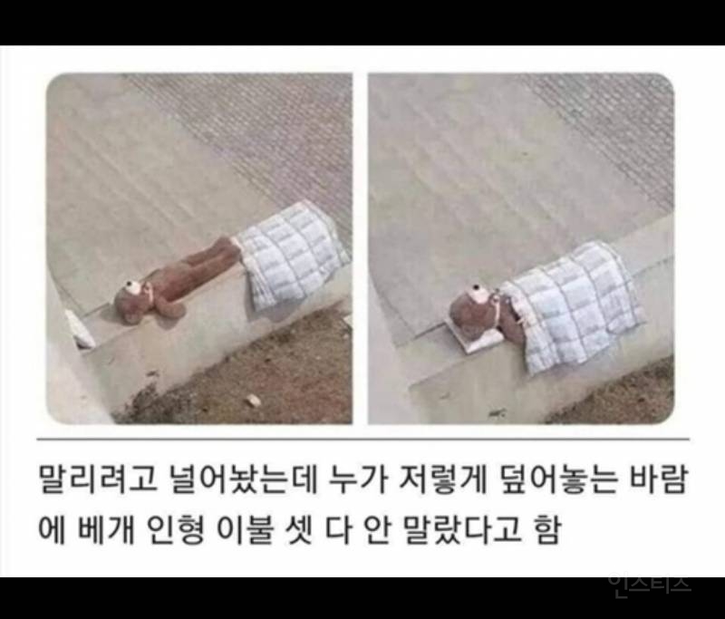 반도의 흔한 감성 빌런.jpg | 인스티즈