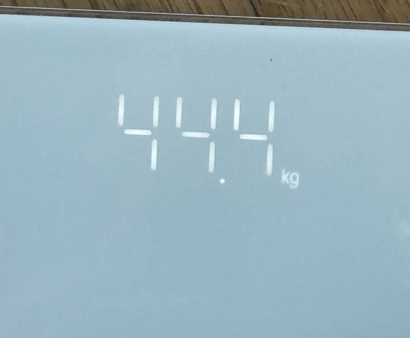 [잡담] 마음 고생은 강제 다이어트를 시켜준다 | 인스티즈