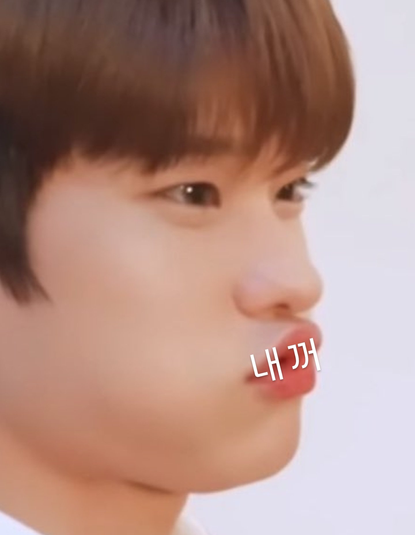 [잡담] 소희 보고싶어서 죽었다 | 인스티즈