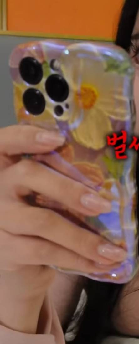 [잡담] 이 핸드폰케이스 찾고싶은데 주인도 어디서 샀는지 모른대 | 인스티즈