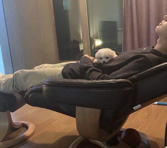 [잡담] 하 배에 제노 올려두고 이러고 쉬고싶음 | 인스티즈