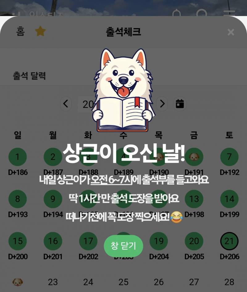[잡담] 상근이 이 양아치견 진짜 미쳤나 | 인스티즈