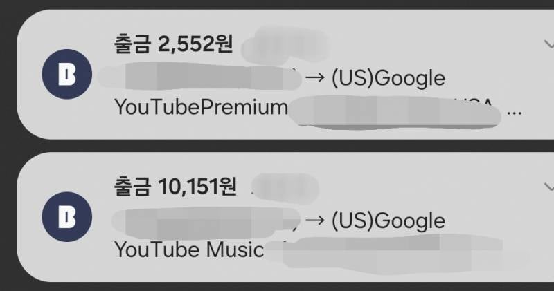 [잡담] 유튜브 프리미엄 막혀서 페루로 이민 갔다!! | 인스티즈