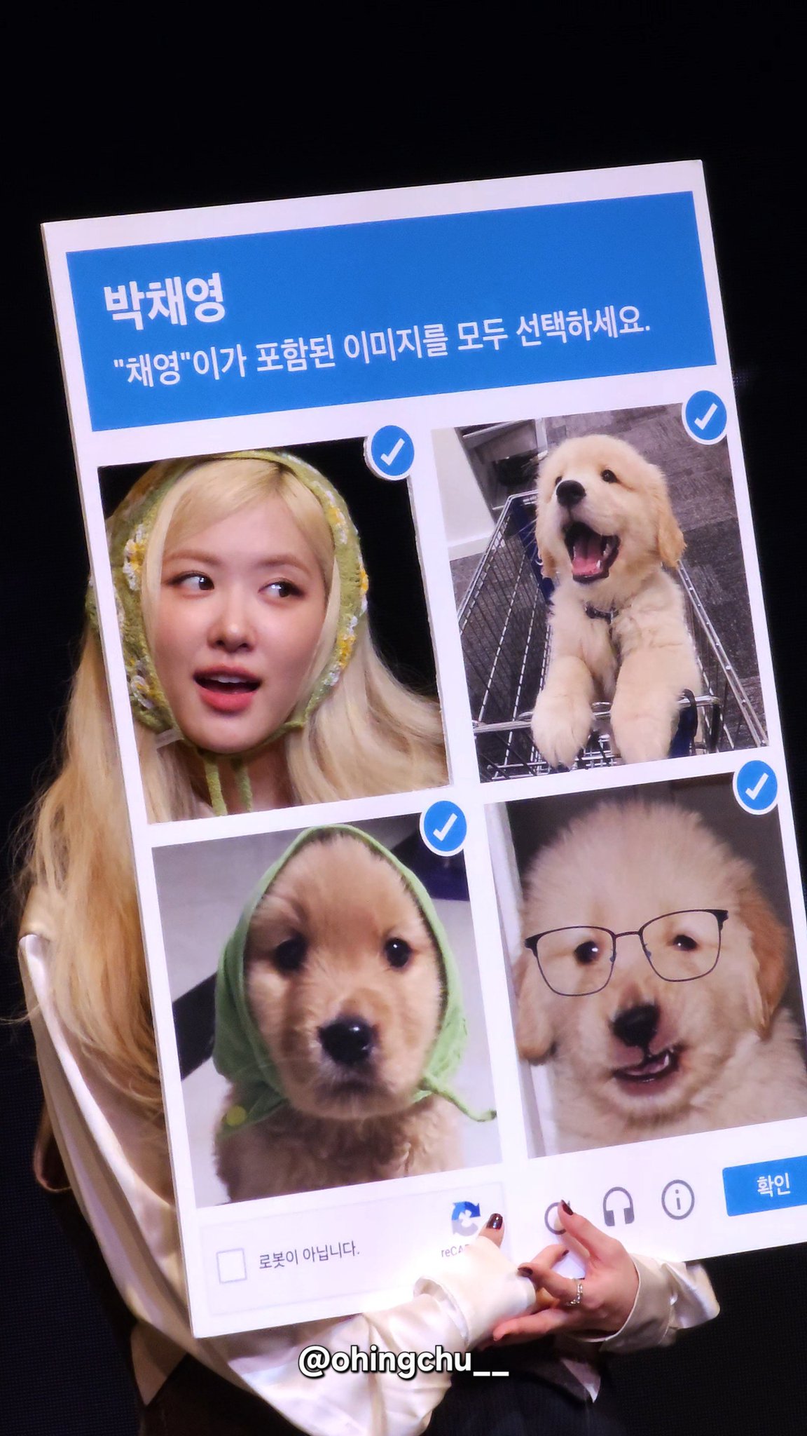 [잡담] 로제 팬들 오늘 작정했나보네 | 인스티즈