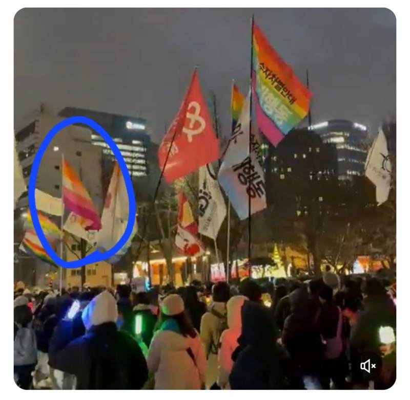[잡담] 안녕하세요 이 깃발 퀴어같은데 뭔지 아시나요?? | 인스티즈