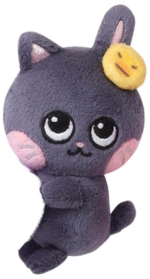 [잡담] 하아 오늘 원빈이 냥덕이네 | 인스티즈