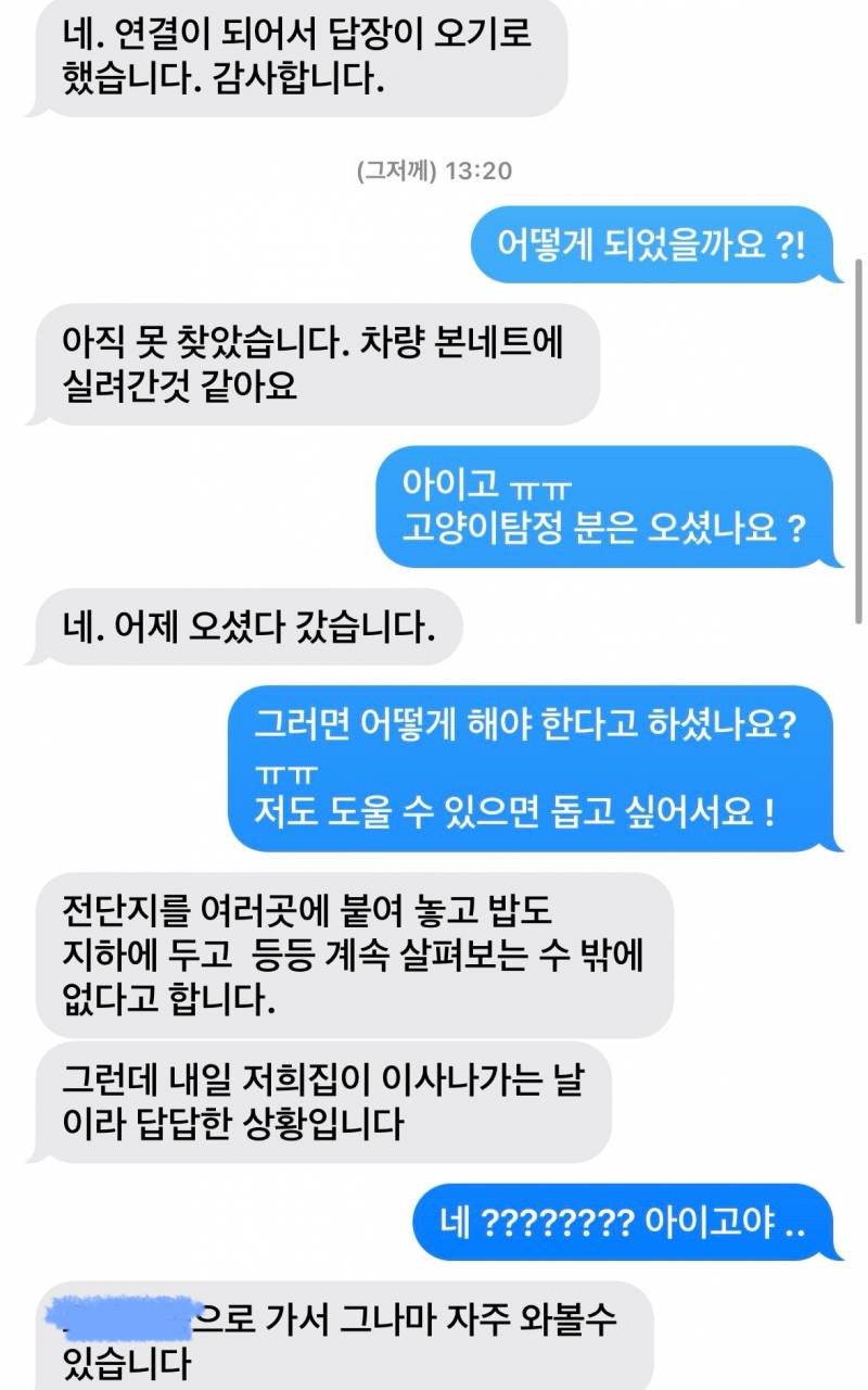 [잡담] 우리 아파트에서 고양이 잃어버리셨는데 6일만에 찾았다 🥹🥹🥹🥹🥹🥹 | 인스티즈