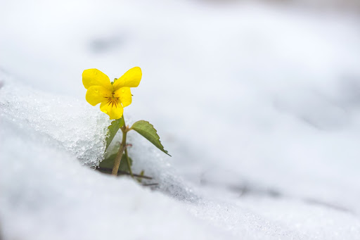 [잡담] 태민이 발라드 부르면 음색 이런 느낌 | 인스티즈