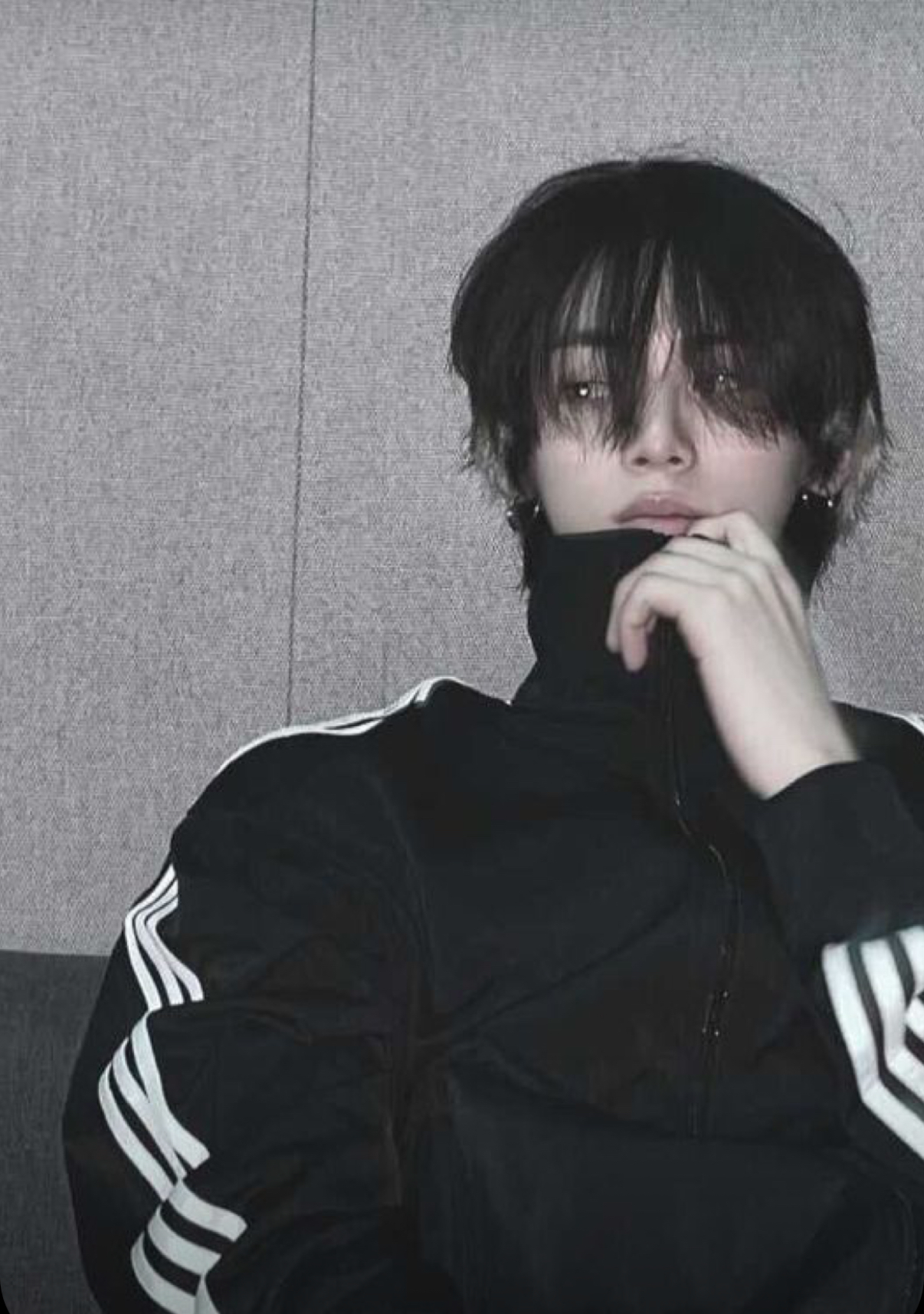 [잡담] 새해 기념으로 난 한태산을 가져야겠다 | 인스티즈