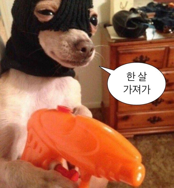 [잡담] 🍀새해 짤 모음🍀 | 인스티즈