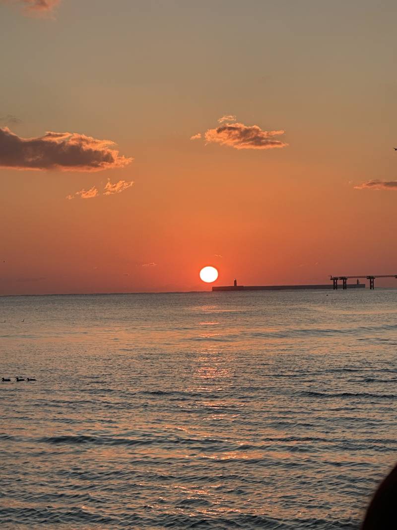 [잡담] 안목해변 해돋이 🌅 | 인스티즈