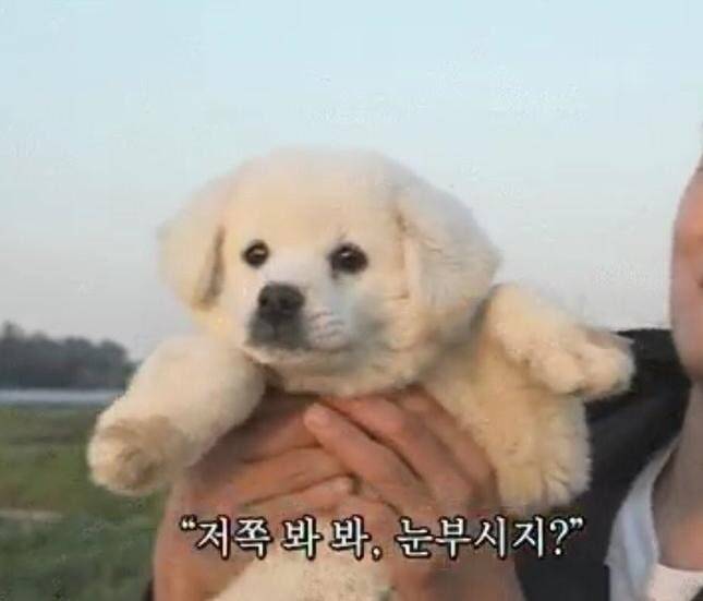 티빙 한 달 같이 하실 분! | 인스티즈