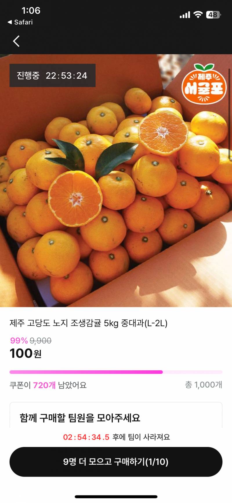 [잡담] 100원에 귤 같이 먹쟈🍊🍊 | 인스티즈