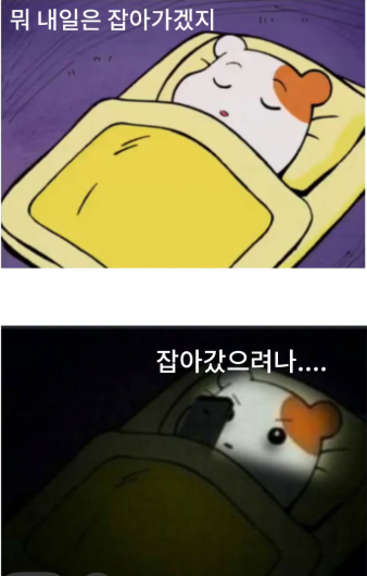 [잡담] 유사 보좌관의 삶을 살고 있는 우리 | 인스티즈
