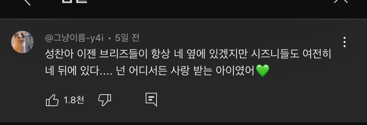 [잡담] 나 성찬이 버블 보니까 눈사람 영상 시즈니 댓글 생각남 | 인스티즈