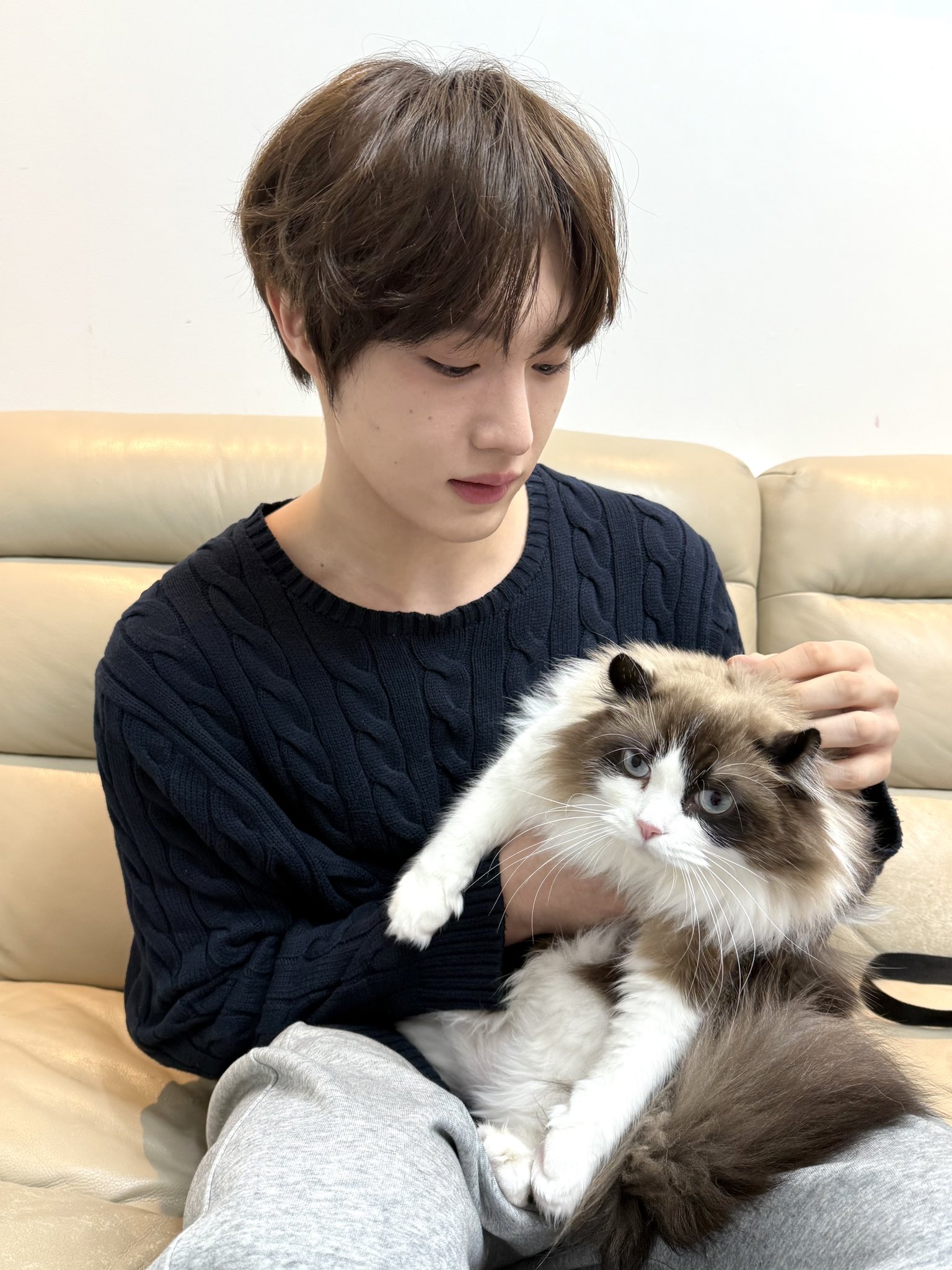 [잡담] 둘이 친해지길 바라 | 인스티즈