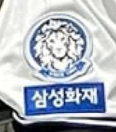 [잡담] 사자 패치 최대한 확대해서 크롭해봄 | 인스티즈
