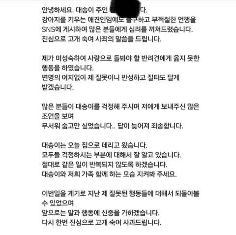 [잡담] 시바견 파양 | 인스티즈