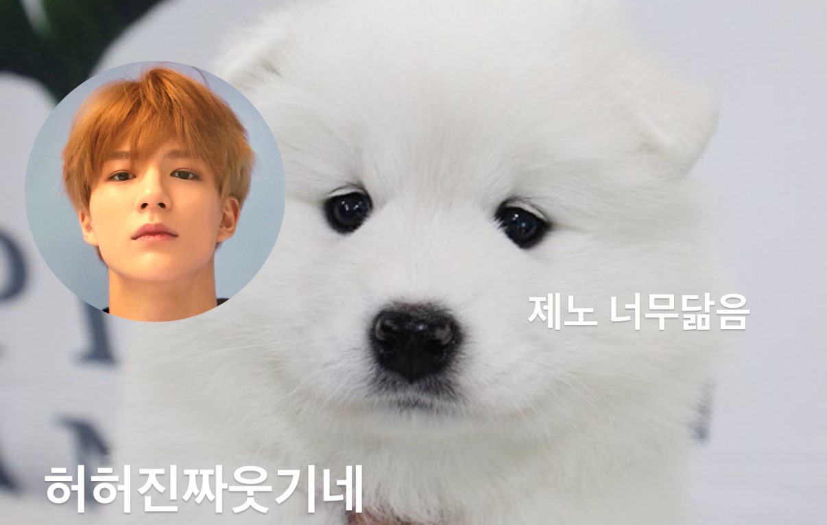 [잡담] 제노너무귀여워 | 인스티즈