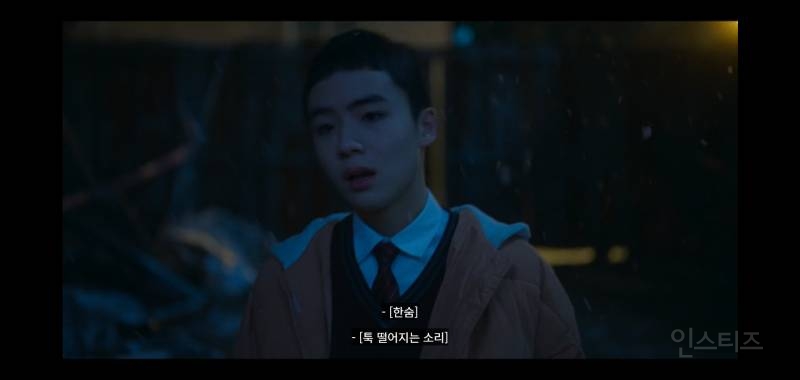 ㅅㅍ) 여장까지 하면서 고양이 죽이는 범죄자 | 인스티즈
