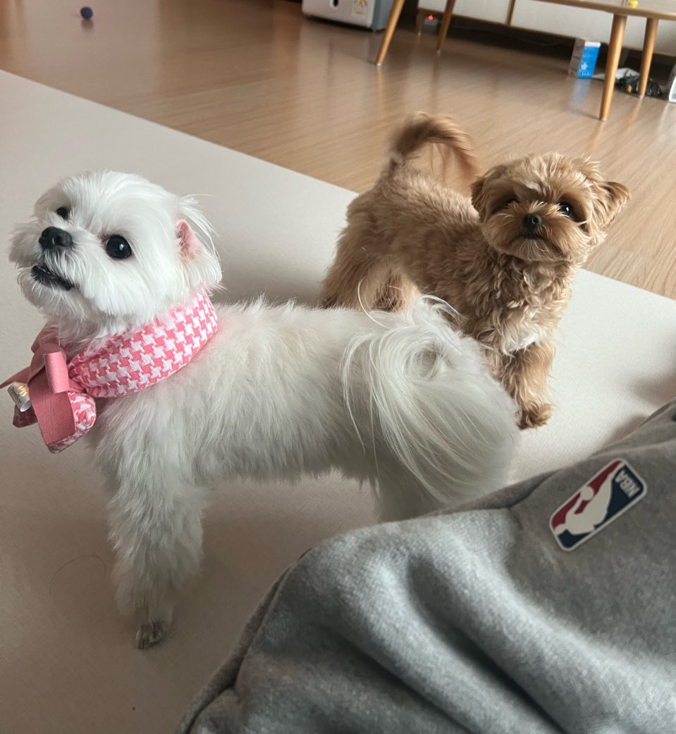 [잡담] 성찬이 본가 내일 간다네 | 인스티즈