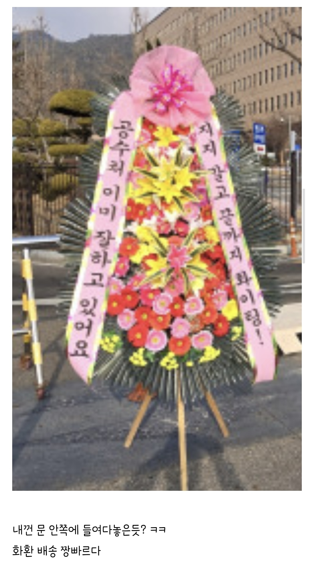 [잡담] 공수처 성장캐라 채찍과 당근 잘해줘야 함ㅋㅋㅋㅋㅋㅋㅋㅋㅋㅋㅋ | 인스티즈