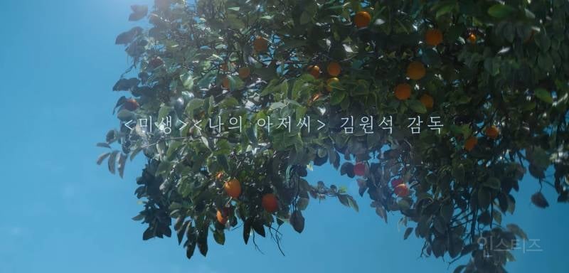 퀄 좋다고 난리난 아이유 드라마 넷플릭스 <폭싹 속았수다> 예고편 | 인스티즈