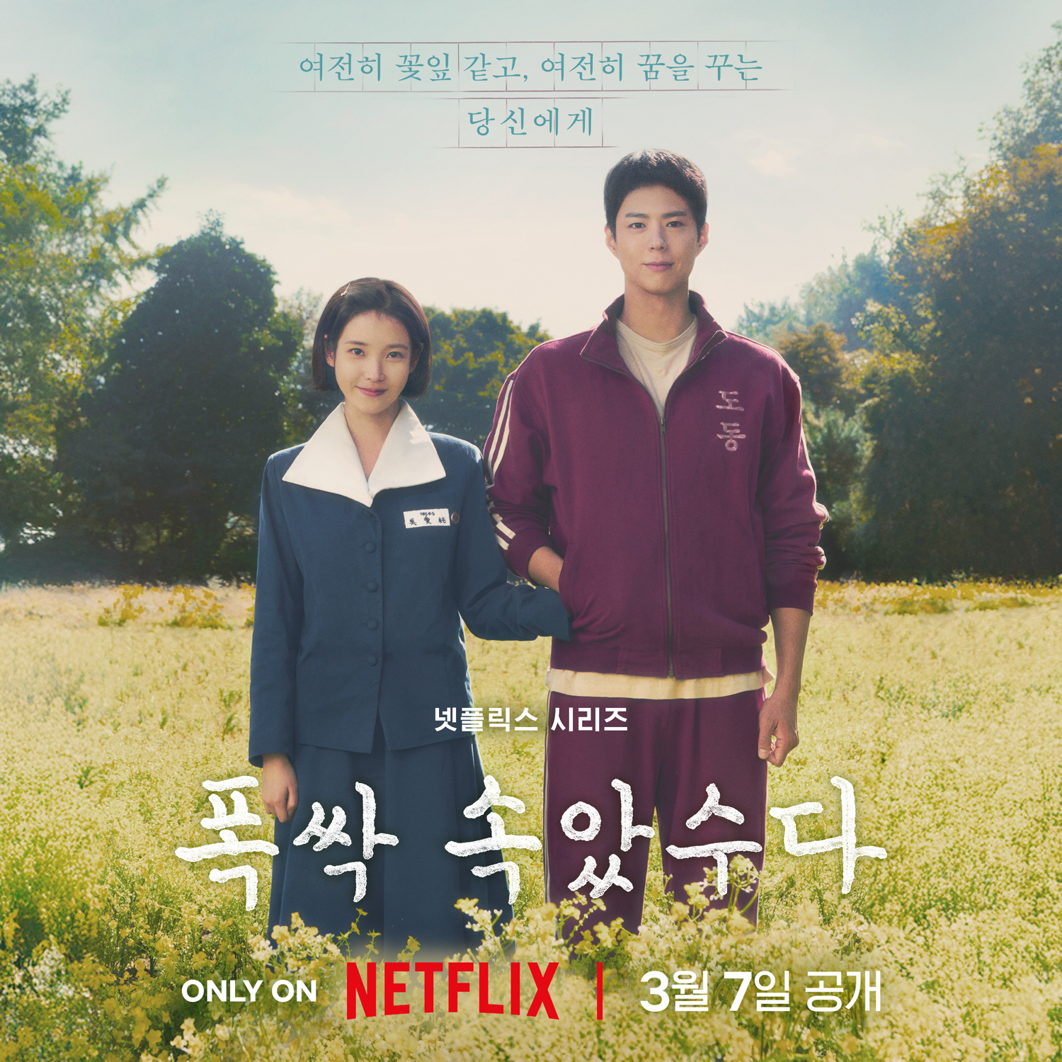 [정보/소식] 아이유 X 박보검 넷플릭스 오리지널 드라마 <폭싹 속았수다> 예고편 & 포스터 | 인스티즈