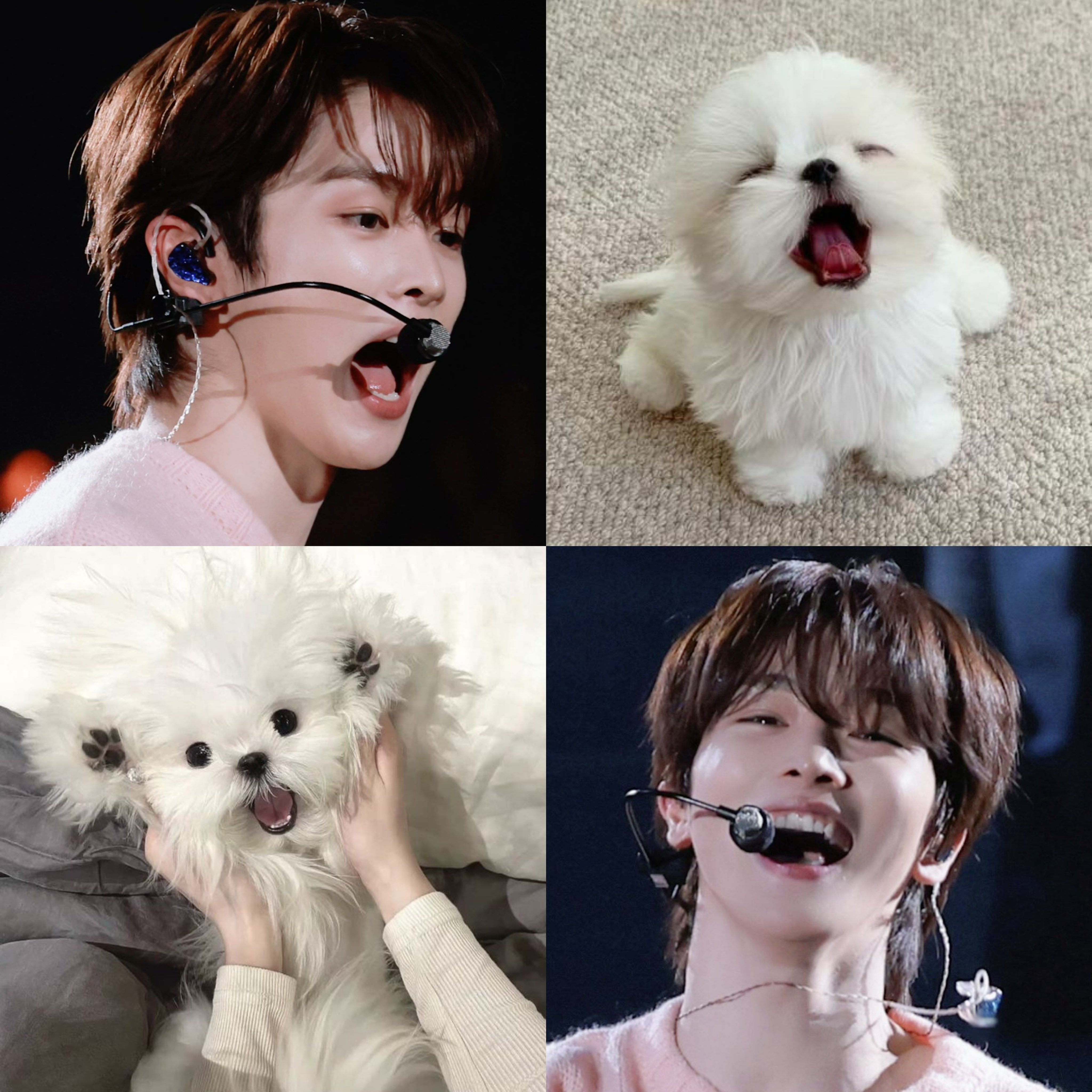 [잡담] 성찬이 진짜 귀엽게 생김 | 인스티즈