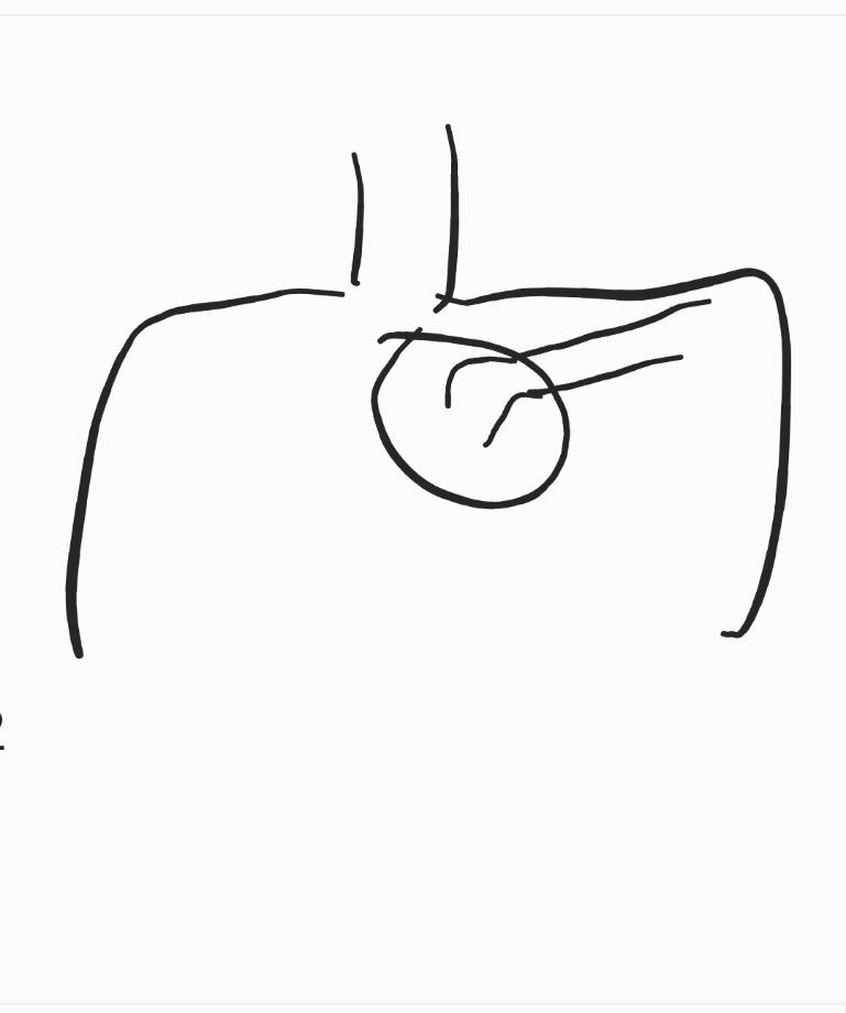[잡담] 익들아 너네도 쇄골 끝쪽이 이렇게 툭 튀어나와 있어? | 인스티즈