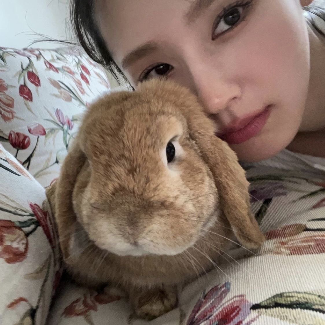 [잡담] 토끼와 쿼끼 | 인스티즈