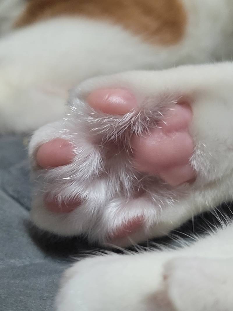 [잡담] 개발바닥 | 인스티즈