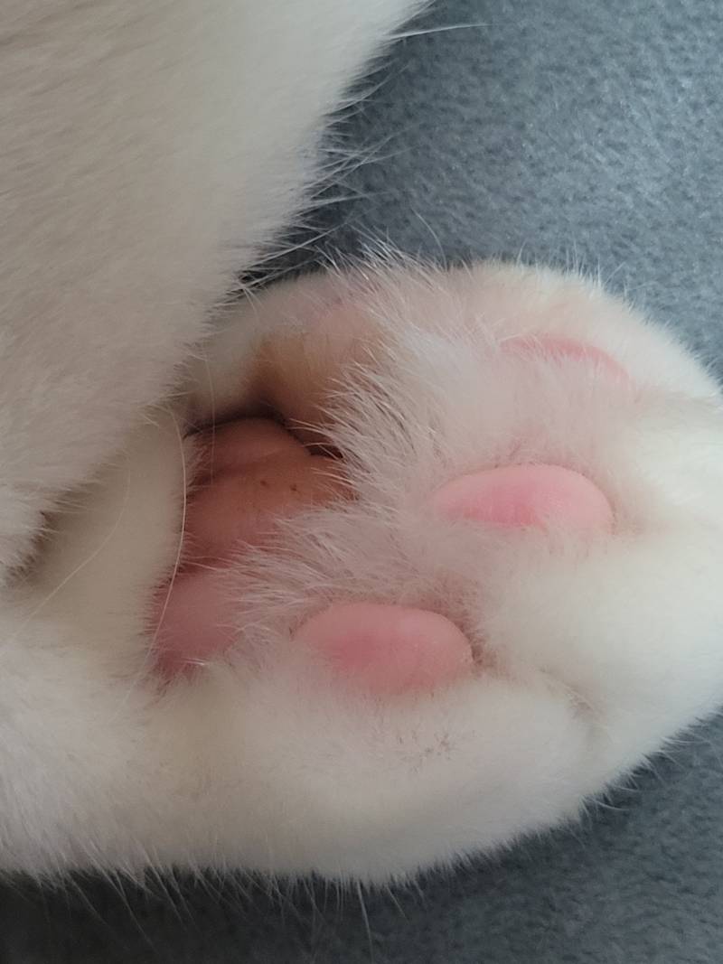 [잡담] 개발바닥 | 인스티즈
