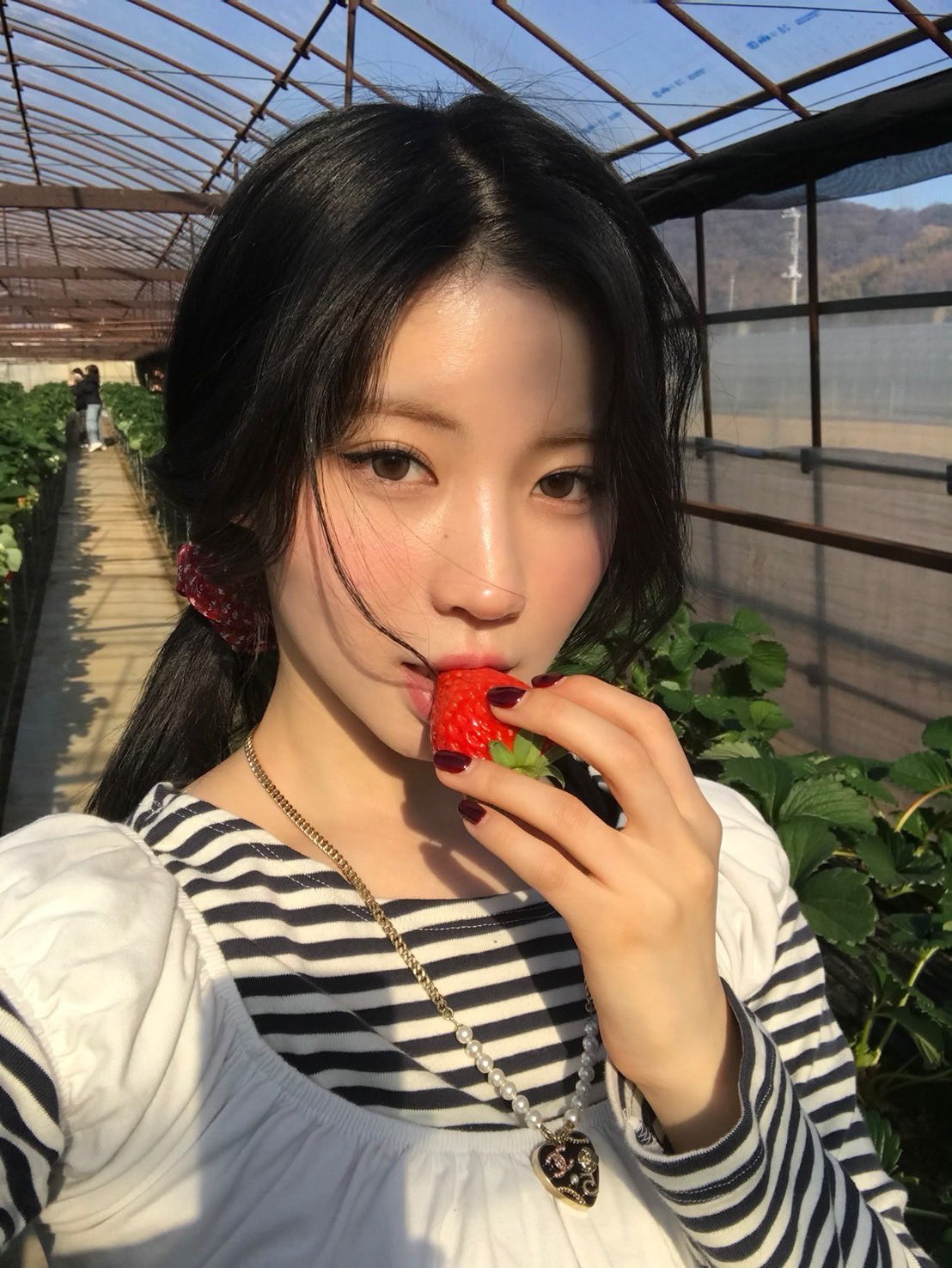 [잡담] 요즘 아사가 개좋다... | 인스티즈