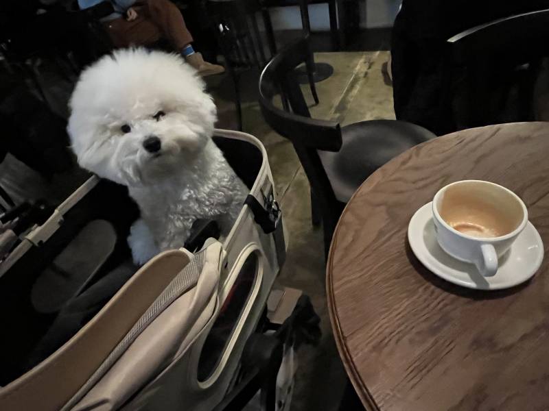 [잡담] 연휴에 카페투어 하는중 | 인스티즈
