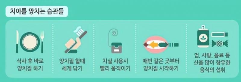 [잡담] 치아 건강 질문이요 | 인스티즈