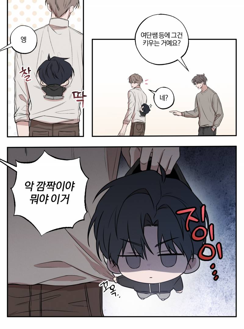 [잡담] 대한민국 3대 마요 | 인스티즈