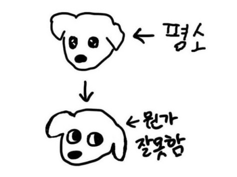[잡담] 체크인한양 아 이거 짱똑ㅋㅋㅋㅋㅋ | 인스티즈